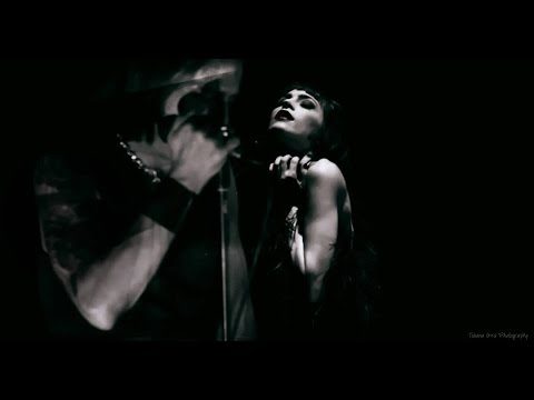 Neracruz – The Dream